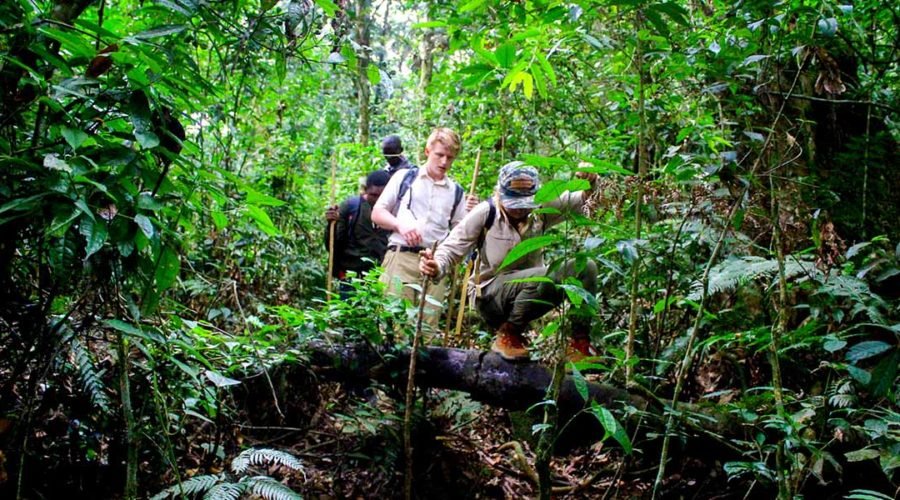 WalkingSafaris